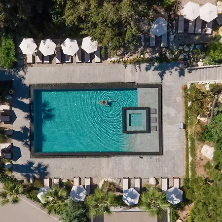 Апартаменты Wonderful Azur Panorama Spa, Pool And Fitness Святые Константин и Елена